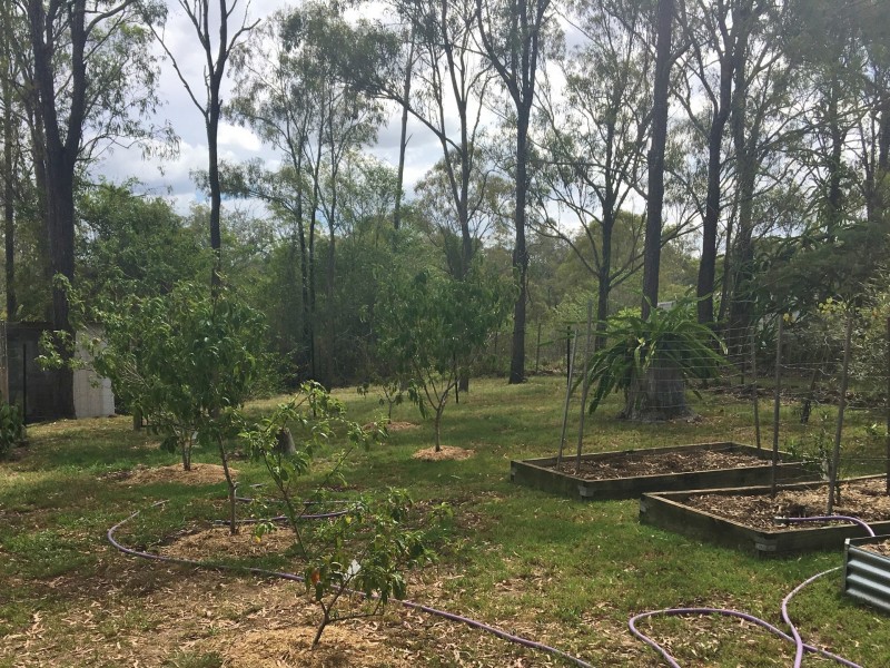 122 Lillian Avenue, Ellesmere QLD 4610