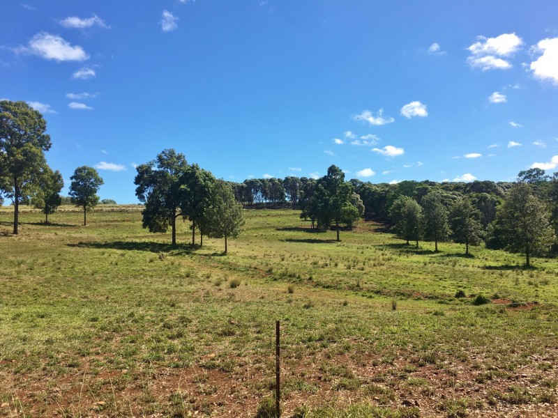 228 McAuliffes Road, Booie QLD 4610