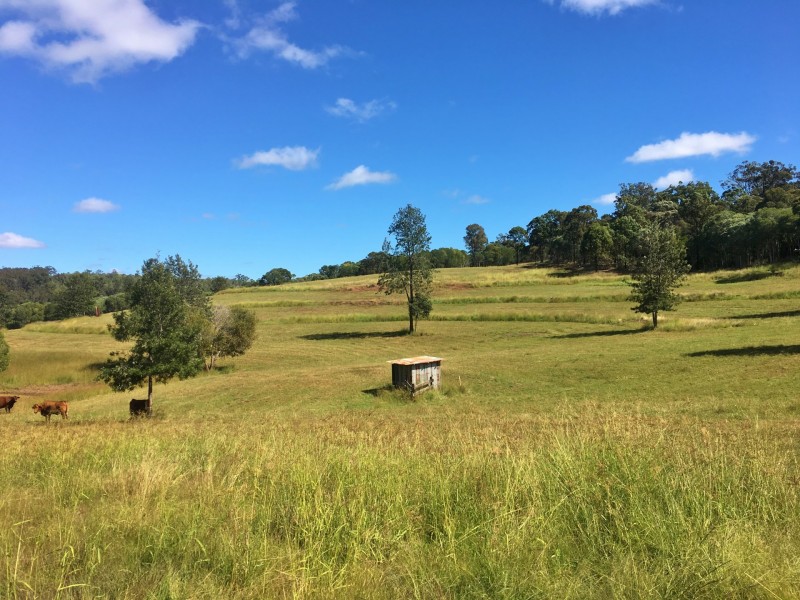 228 McAuliffes Road, Booie QLD 4610