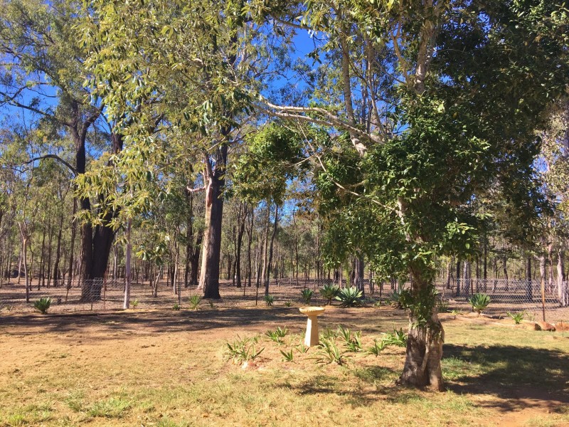 57 McNicholl Road, Wattle Camp QLD 4615