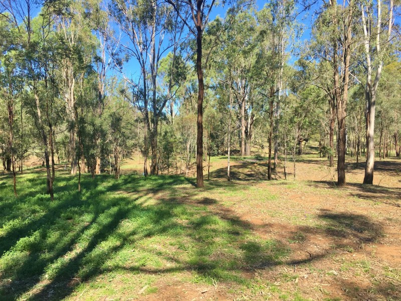 57 McNicholl Road, Wattle Camp QLD 4615