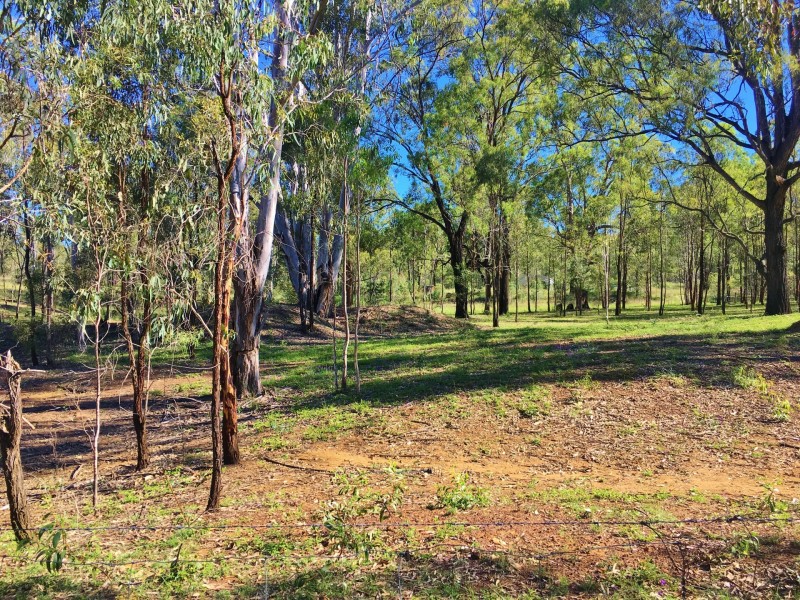 57 McNicholl Road, Wattle Camp QLD 4615