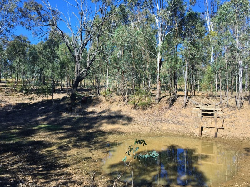 57 McNicholl Road, Wattle Camp QLD 4615