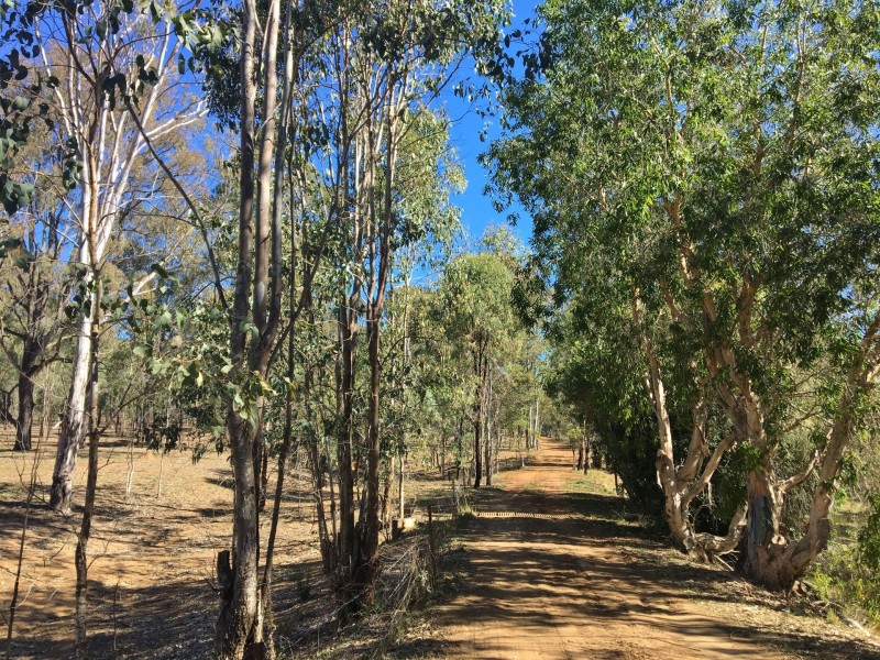 57 McNicholl Road, Wattle Camp QLD 4615