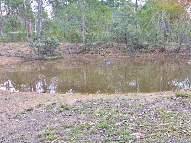 108 Brocklehurst Road, Wattle Camp QLD 4615