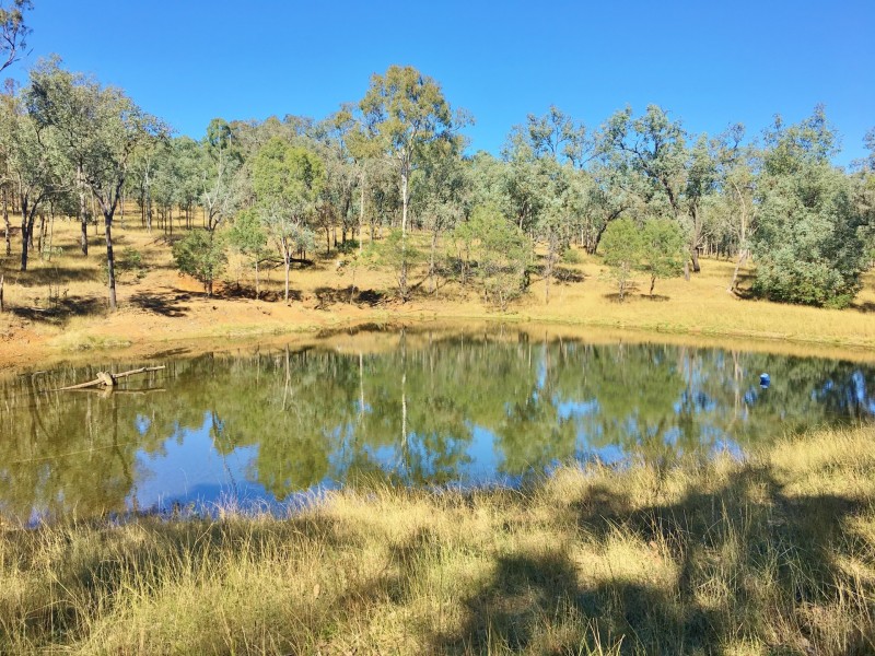 154 Scotts Lane, Runnymede QLD 4615