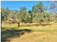 154 Scotts Lane, Runnymede QLD 4615