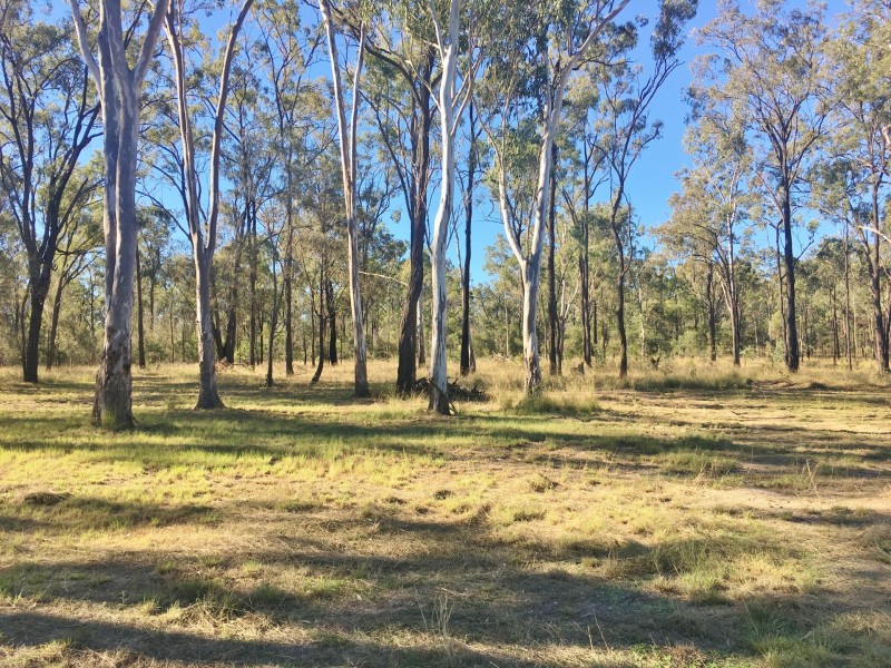 175 Coverty Road, Coverty QLD 4613