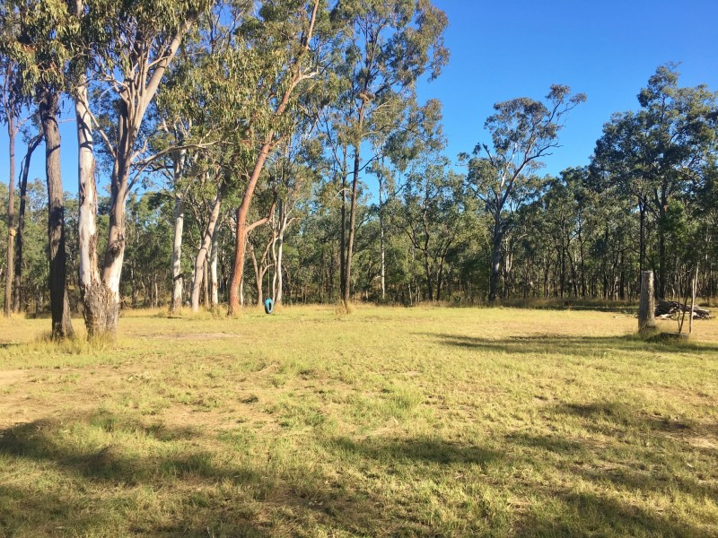 175 Coverty Road, Coverty QLD 4613