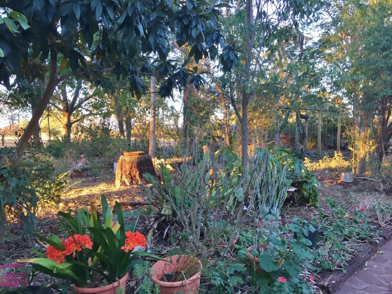 7 Coolabunia Road, Coolabunia QLD 4610