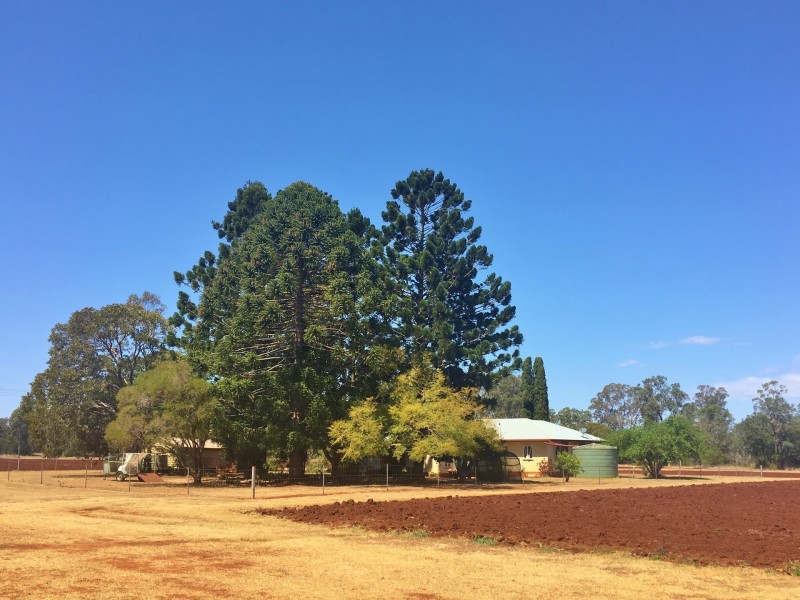 36 Wellers Road, Wooroolin QLD 4608