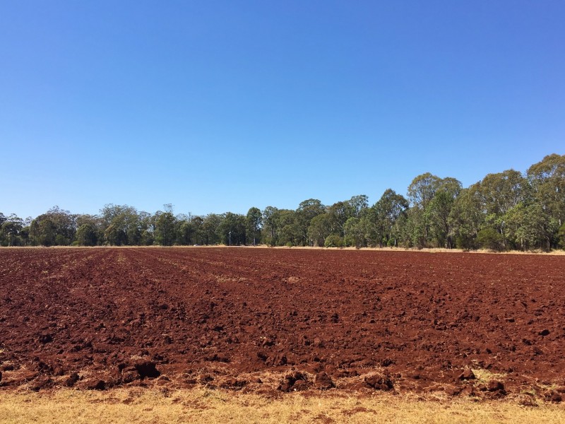 36 Wellers Road, Wooroolin QLD 4608
