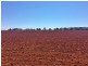 36 Wellers Road, Wooroolin QLD 4608