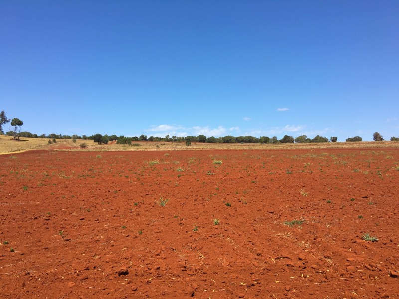 36 Wellers Road, Wooroolin QLD 4608