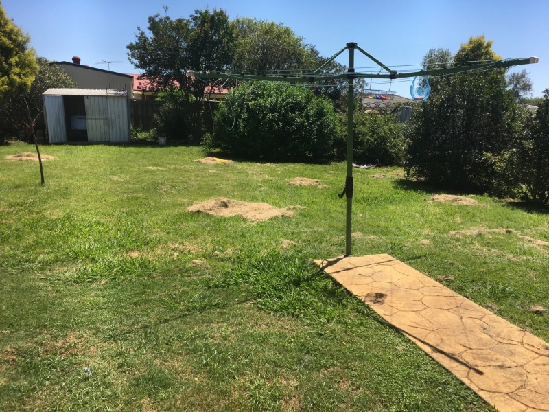 24 Kurtellen Crescent, Kingaroy QLD 4610
