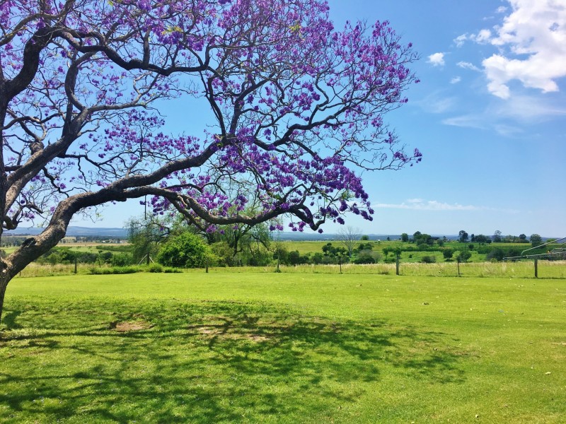 270 Springs Road, Wondai QLD 4606