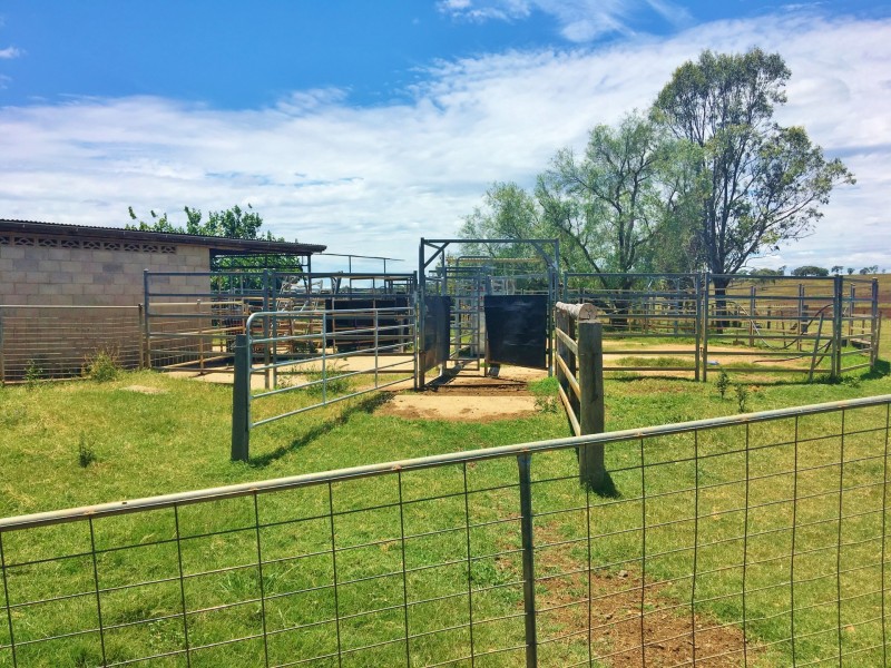 376 MP Creek Road, Mp Creek QLD 4606