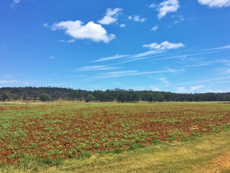 376 MP Creek Road, Mp Creek QLD 4606