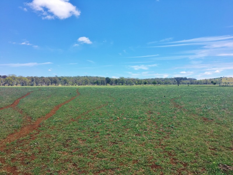 376 MP Creek Road, Mp Creek QLD 4606