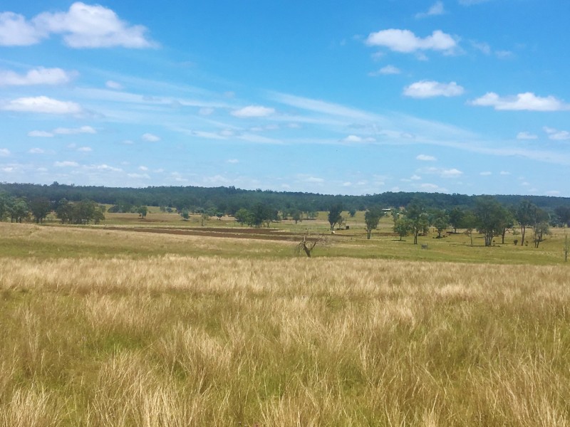 376 MP Creek Road, Mp Creek QLD 4606