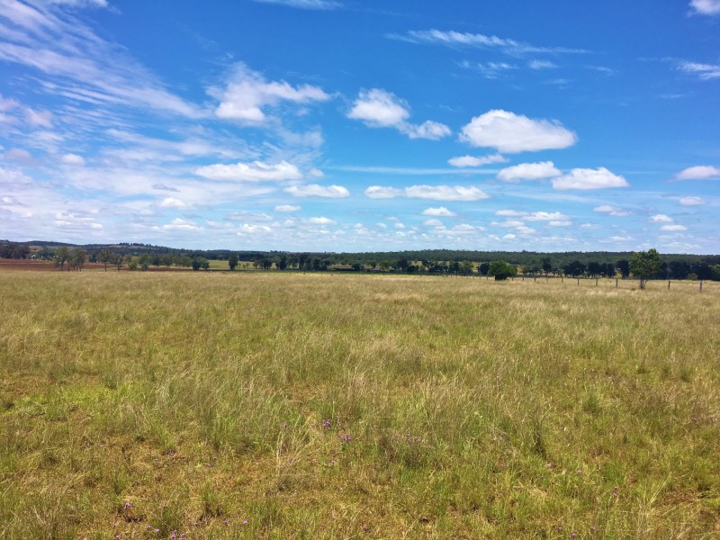 376 MP Creek Road, Mp Creek QLD 4606