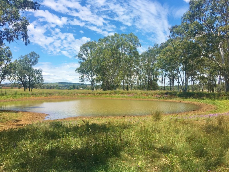 376 MP Creek Road, Mp Creek QLD 4606