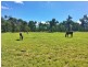 10 Weeks Road, Goodger QLD 4610
