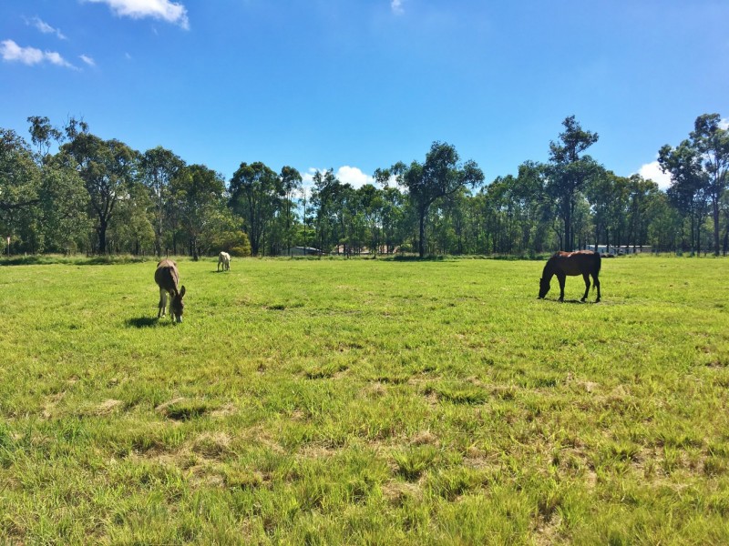 10 Weeks Road, Goodger QLD 4610