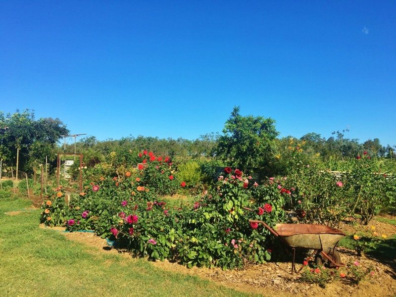 154 Ironpot Road, Kingaroy QLD 4610