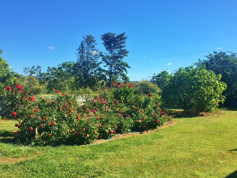 154 Ironpot Road, Kingaroy QLD 4610