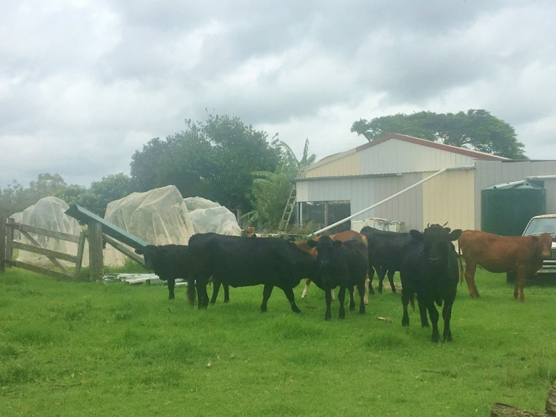 154 Ironpot Road, Kingaroy QLD 4610