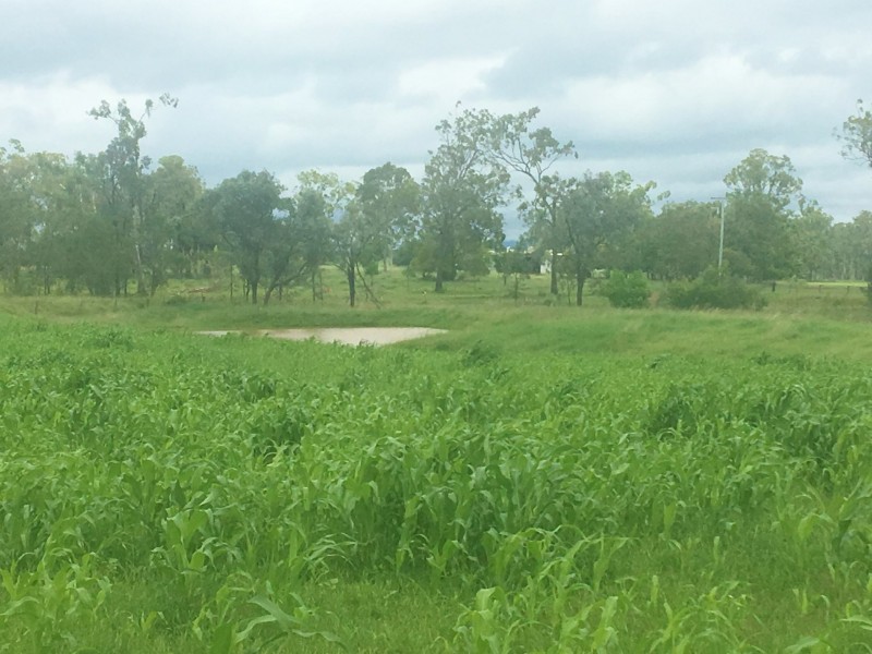 154 Ironpot Road, Kingaroy QLD 4610