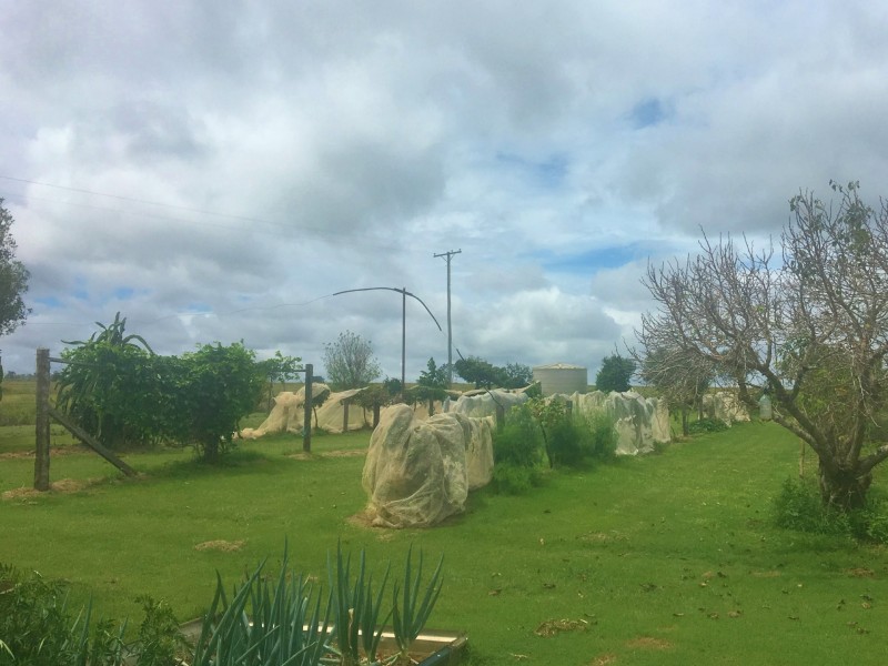 154 Ironpot Road, Kingaroy QLD 4610