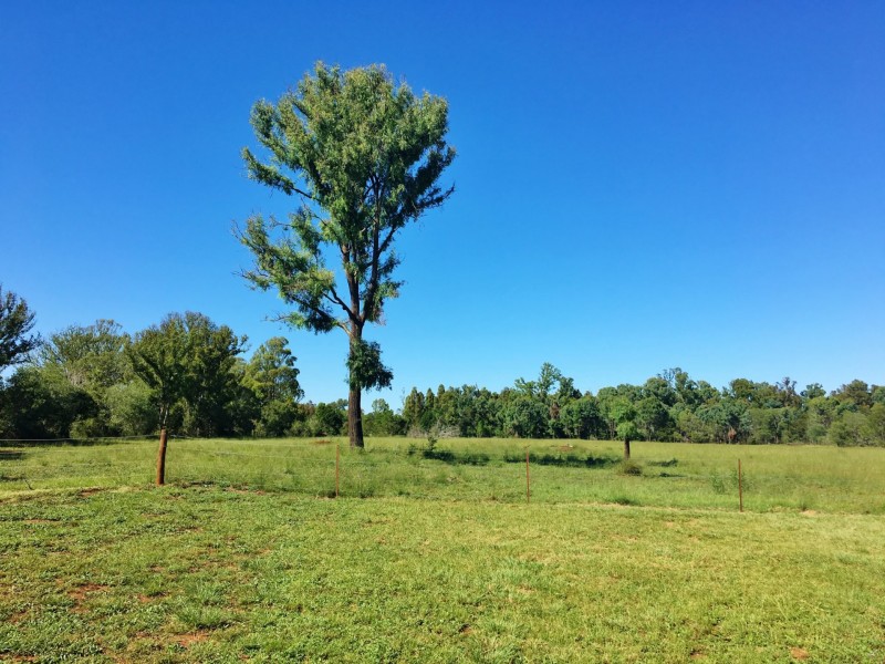 Lot 220 Kingaroy Burrandowan Road, Wattle Grove QLD 4610