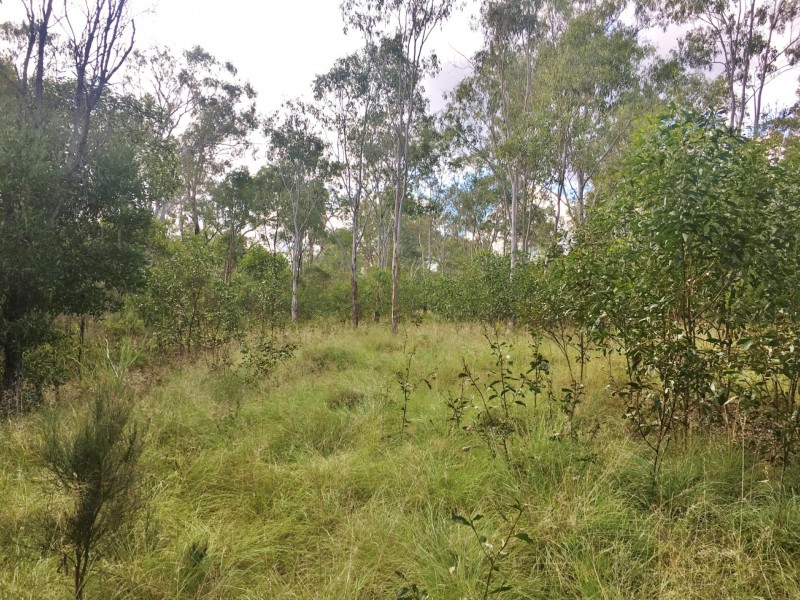Lot 1 Sandy Ridges Road, Nanango QLD 4615