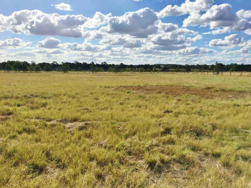 Lot 303 Navy Bean Road, Memerambi QLD 4610