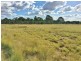 Lot 303 Navy Bean Road, Memerambi QLD 4610