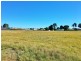 Lot 28 Alford Street, Kingaroy QLD 4610