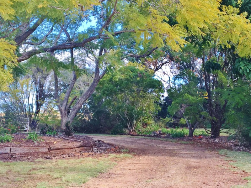 218 Reedy Creek Road, Kingaroy QLD 4610
