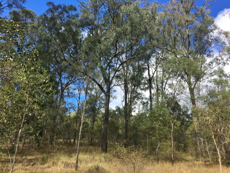 Lot 3 Wattle Camp Road, Wattle Camp QLD 4615