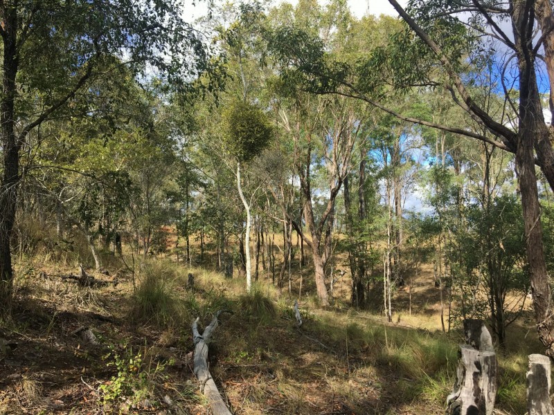 Lot 3 Wattle Camp Road, Wattle Camp QLD 4615