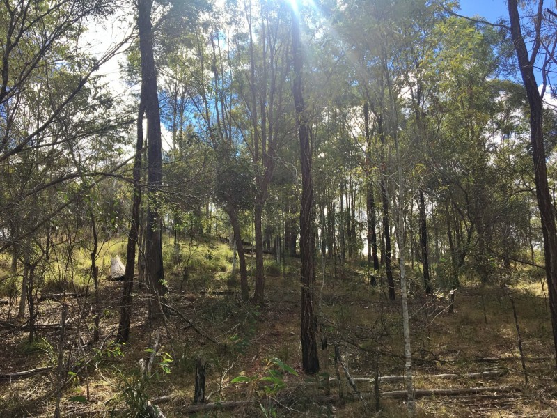 Lot 3 Wattle Camp Road, Wattle Camp QLD 4615