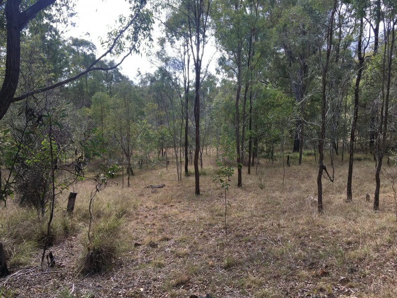 Lot 3 Wattle Camp Road, Wattle Camp QLD 4615