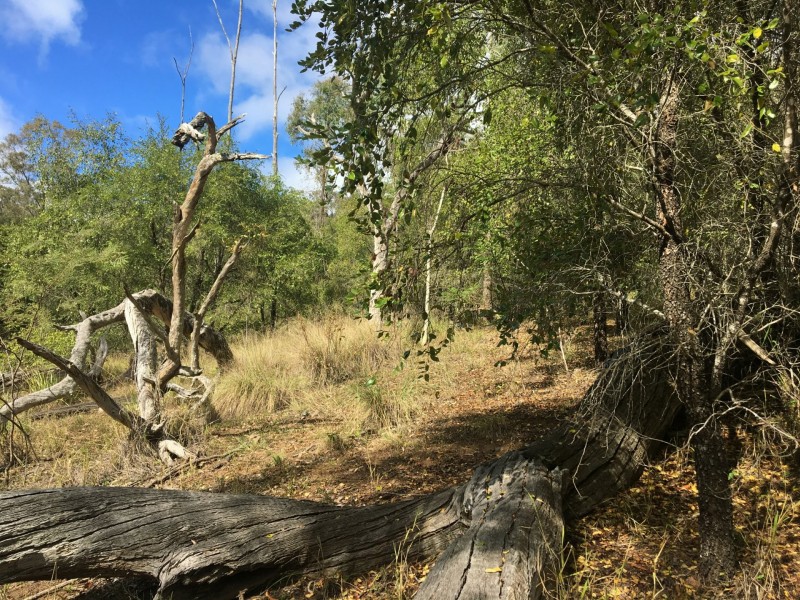 Lot 3 Wattle Camp Road, Wattle Camp QLD 4615