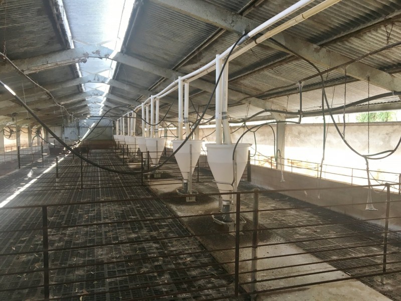 290 Luck Road, Kingaroy QLD 4610