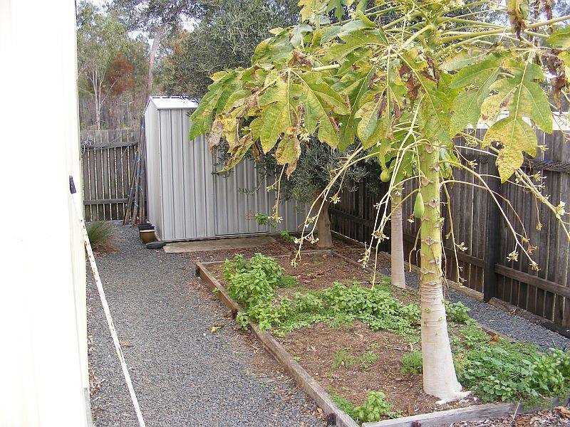 2/37 Grant Crescent, Wondai QLD 4606