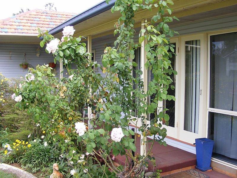 25 Cadell Street, Wondai QLD 4606