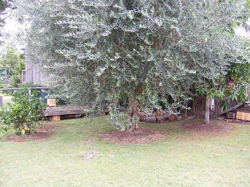 25 Cadell Street, Wondai QLD 4606