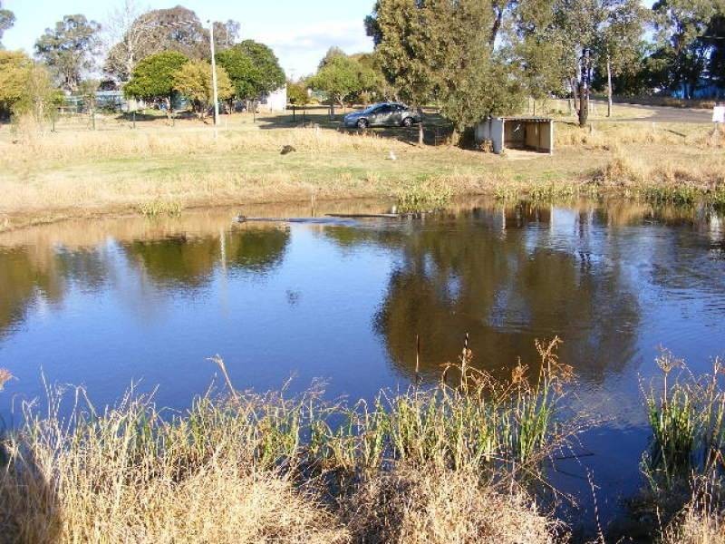 41 Jellicoe Street, Proston QLD 4613