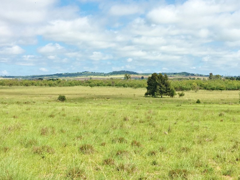 41 Lower Red Hill Road, Wondai QLD 4606
